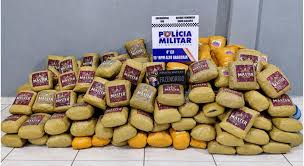 Pol&iacute;cia apreende 202 kg de skunk escondidos em carga de 38 toneladas de milho em MT | Gazeta Digital