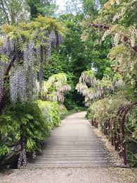 Arboretum Trompenburg In Rotterdam Foto Rob Van Katwijk Outdoor Garden Relaxing Images Landscape