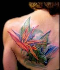 Bird Of Paradise Flower Tattoo Meaning Bird Of Paradise Flower Tattoo Design 260x300 Meanings Of Birds Of Paradise Flower Tattoos Or Bird Of Paradise Tattoo Tropical Flower Tattoos Birds Of Paradise