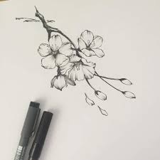 Of this cherry blossom shoulder tattoo tags cherry blossom shoulder. Pin On Tats