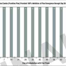 While there is something flawed with your dog's health, it can be a major problem. Pdf Efficacy Of Fipronil S Methoprene On Fleas Flea Egg Collection And Flea Egg Development Following Transplantation Of Gravid Fleas Onto Treated Cats