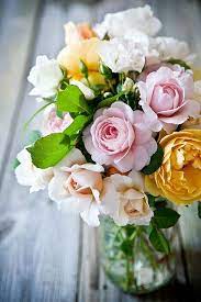 Pin On Flowers