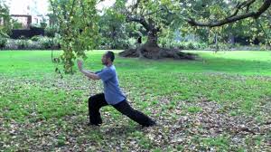 Highest authority on the routine in the world. Tai Chi 24 Form Youtube