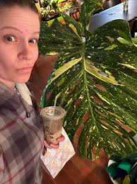 Too many tiny plants for a small space? What's the ideal number of tiny  plants for a small space?