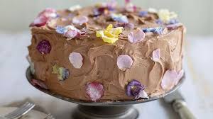 Ultimate Vegan Choc Cake Recipe