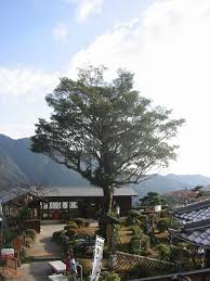 Image result for Balthasaria