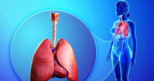 If you have copd, determining the cause of. Slideshow Slideshow A Visual Guide To Copd Slide Show