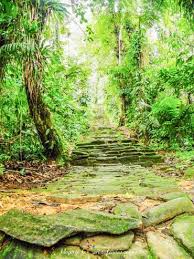 We did not find results for: Visiter La Cite Perdue Tayrona En Colombie Colombia