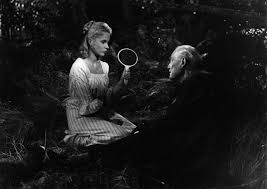After living a life marked by coldness, an aging professor is forced to confront the emptiness of his existence. Wild Strawberries A Brief Note About Ingmar Bergman And Pauline Kael Offscreen