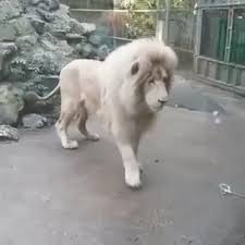 Https Encrypted Tbn0 Gstatic Com Images Q Tbn 3aand9gcrj Xvw6ytchb6ltzesj46kwf5pvnal89ugkq Usqp Cau