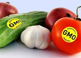 List of pros of genetically modified foods. Gmo Pros And Cons Financial Tribune