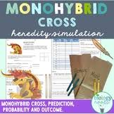 Switched to plant biology in mid 1990s to analyze promoters for crop. Monohybrid Mice Worksheets Teaching Resources Tpt