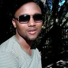 What are the advantages and disadvantages of using spatial decision support  tools in Environmental assessment?