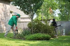 You should use a mosquito pest control service to get rid of the annoying insects in your home and yard. Our Outdoor Mosquito Pest Control Services Mosquito Joe