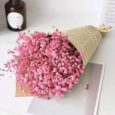 Cross the nearby road, and you'll find this captured memory near a lake on the irich plain. Xinfeng Natural Gypsophila Baby S Breath Dried Flowers Bouquet Bundle Desktop Diy Handcrafts Floral Full Stars Dry Flower Bunch Arrangements Decorative For Home Office Wedding Store Pink Buy Online In Paraguay At Desertcart Com Py