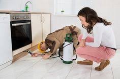 O'connor pest control santa barbara is located near the cities of santa barbara county. O Connor Pest Control Santa Barbara Pestcontrolca12 Profile Pinterest