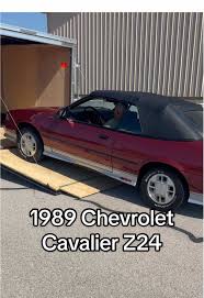 Image result for Crystal White 1989 Daewoo