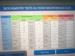 solved biochemistry tests for food macromolecules