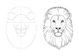 A cartoon lion is being used in anime sitcoms and children simply love them so much. Easy Drawing Tutorials For Beginner Intermediate Artists Drawing Tutorial Easy Drawing Tutorials For Beginners Easy Drawings