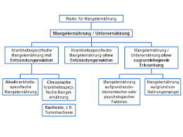 Station Ernahrung Mangelernahrung