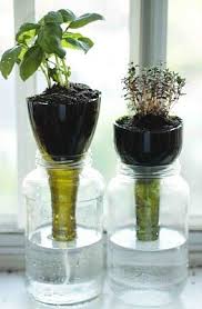 We did not find results for: Inside Urban Green Modern Methods Of Growing Food Foliage Or Flowers For The Millions Of Us Who A Wine Bottle Planter Self Watering Planter Indoor Herb Garden