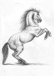 2 using a guide for proportions. Realistic Horse Drawing At Paintingvalley Com Explore Collection Of Realistic Horse Drawing
