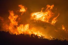 Se propagan a gran velocidad, haciendo arder la maleza, los árboles y las viviendas. Onu Estrenara Sala De Analisis Para Incendios Forestales La Network