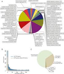 gene ontology analysis a pie chart showing the go term