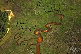 Entre Ares Et Le Cap Ferret Magie Des Marees Les Pres Sales Ressemblent Aux Meandres Du Fleuve Amazone Philippe L Bassin D Arcachon Fleuve Amazone Cap Ferret