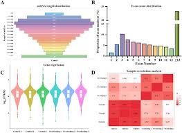 Transcriptome data analysis. mRNA length distribution funnel plot (A),...