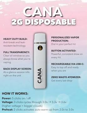 Bubble Gum (Disposable) | 2g at CANA Craft Cannabis - New Bedford