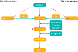 Apixaban belongs to a group of drugs called xa inhibitor anticoagulants, which decrease the chance of a blood clot forming in the body. Warfarin In Patients With Mechanical Heart Valves The Bmj