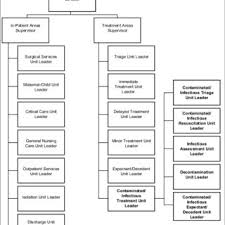 Hospital Emergency Incident Command System Heics 3rd