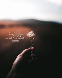 ألفا من النعم plants dandelion flowers