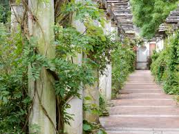 The Pergola And Hill Gardens Hampstead London Garden On A Hill Pergola Urban Beauty