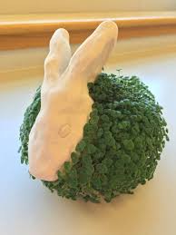 Chia Pet In Studio Art A Beginning Clay Project Chia Pet Clay Projects Clay Projects For Kids