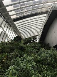 Brunch at Duck & Waffle and Exploring the Sky Garden, London | A Belly Full  of Words