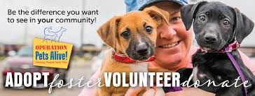 Operation Pets Alive