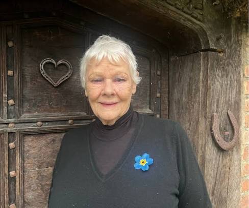 Every Forget Me Not badge tells a story. 'Behind each badge, there are  stories of lives devastated by dementia, of crucial support helping people  navigate the huge daily challenges of life with