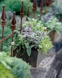 Window box garden is a great way for people with little outdoor space to grow plants. Fresh And Fabulous Herb Window Box Better Homes Gardens