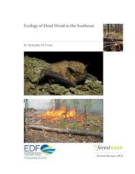 Berrett pest control is proud to offer the best in austin pest control and pest management services to clients in austin and the surrounding areas. Pdf Ecology Of Dead Wood In The Southeast