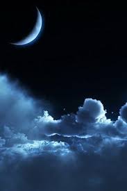 I ordered both colors and just placed another order for two more to go in a garden i'm going to create along the back of my privacy fence. Remotely Here Tampere Hers Best Games For 2012 Pc Beautiful Moon Moon Pictures Clouds