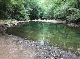 There are camping spots near by (along the new river) and a restroom. Glade Creek Hike