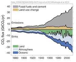 stability of carbon sinks and sources