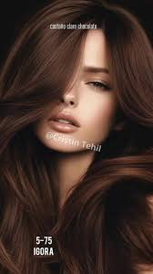 MOCHA MOUSSE 🍫🤎🤎🤎