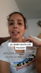 Asesórate con tu medico vererianrio sobre los diferentes antipulgas que  existen en el mercado y como usarlos. es recomendable aplicarlo todos los  meses si es que tienes una infestaciin en casa además ...