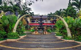 Harga tiket masuk kebun binatang bandung. 23 Wahana Seru Dan Menarik Di Taman Safari Prigen Penginapan Net 2021