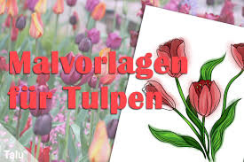 Tulpen aus tonpapier selber basteln (bunte osterdekoration aus tonpapier ausschneiden mit schablone) christianehenne. Tulpen Malvorlage Ausmalbild Zum Ausdrucken Talu De