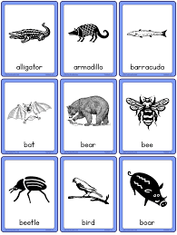 Check spelling or type a new query. Animals A To Z Esl Flashcards