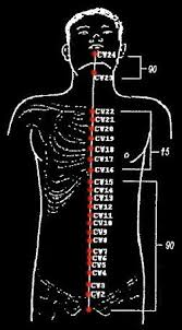 Martial Arts Pressure Points Charts Dim Mak